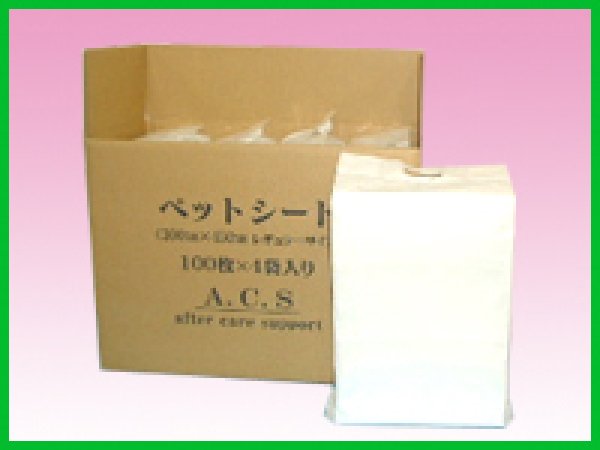 画像1: ＡＣＳレギュラー (1)